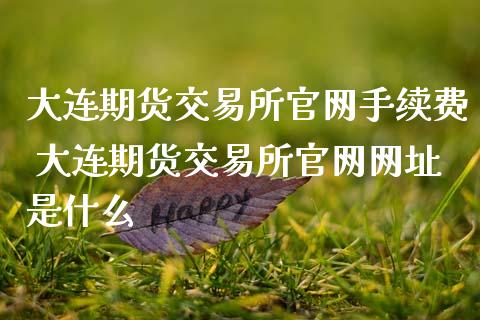 大连期货交易所官网手续费 大连期货交易所官网网址是什么_https://www.iteshow.com_期货百科_第1张