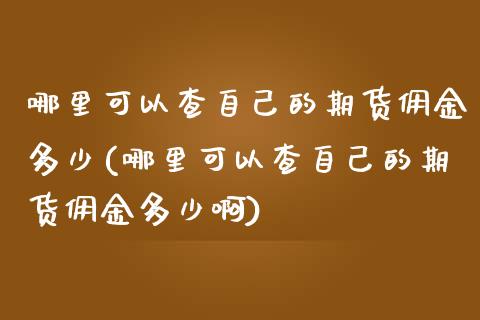 哪里可以查自己的期货佣金多少(哪里可以查自己的期货佣金多少啊)_https://www.iteshow.com_期货交易_第1张