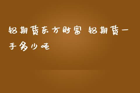 铝期货东方财富 铝期货一手多少吨_https://www.iteshow.com_商品期货_第1张