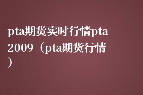 pta期货实时行情pta2009（pta期货行情）_https://www.iteshow.com_期货公司_第1张