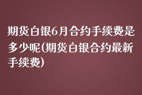 期货白银6月合约手续费是多少呢(期货白银合约最新手续费)_https://www.iteshow.com_期货品种_第1张