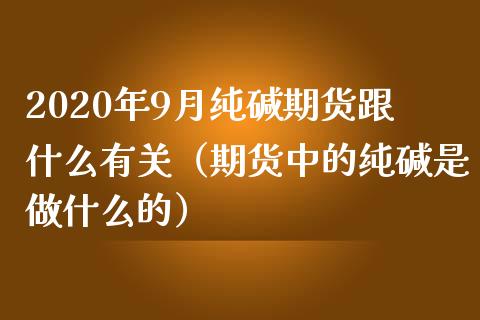 2020年9月纯碱期货跟什么有关（期货中的纯碱是做什么的）_https://www.iteshow.com_期货交易_第1张