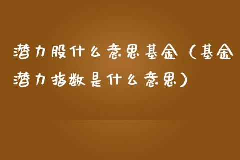 潜力股什么意思基金（基金潜力指数是什么意思）_https://www.iteshow.com_基金_第1张