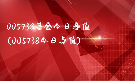 005738基金今日净值(005738今日净值)_https://www.iteshow.com_商品期权_第1张