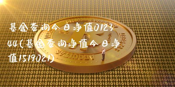 基金查询今日净值012344(基金查询净值今日净值1519021)_https://www.iteshow.com_期货百科_第1张