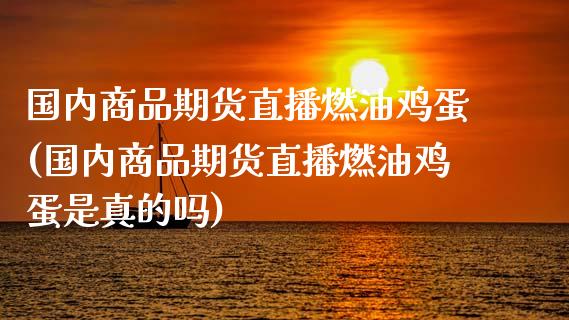 国内商品期货直播燃油鸡蛋(国内商品期货直播燃油鸡蛋是真的吗)_https://www.iteshow.com_股指期货_第1张